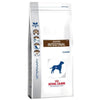 Royal Canin Gastro Intestinal Adult Dog Food 2kg - AllAboutPetsPk