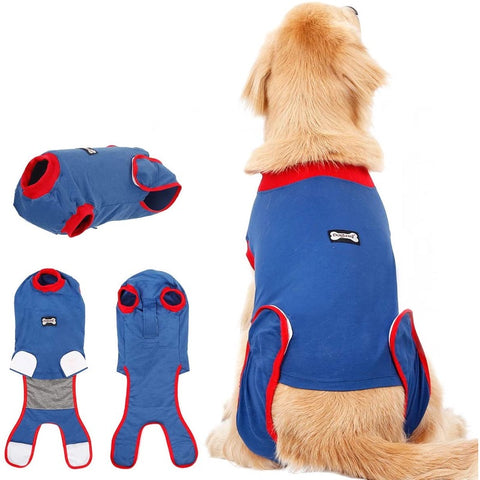 Image of Dog recovery suit blue color, dog cloths available at allaboutpets.pk in Pakistan