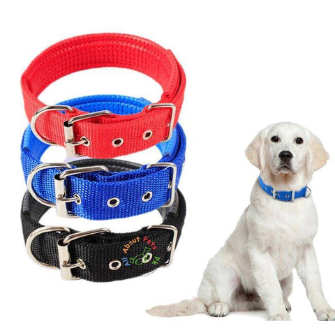 Image of Dog Collar Soft Nylon Padded Adjustable Collars in red, black, green and blue color available in Pakistan at allaboutpets.pk