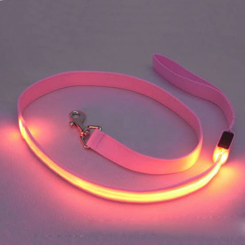 Image of Glow LED Flashing Light Leash pink Color available at allaboutpets.pk in pakistan
