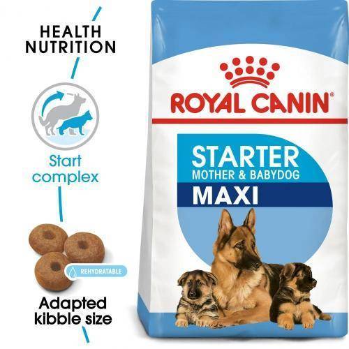 Royal Canin Maxi Starter Mother & Baby dog available at allaboutpets.pk in pakistan.