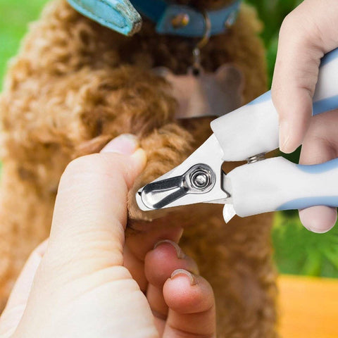 Image of Nail Clipper & File for Cats & Dogs with safety stop available at allaboutpets.pk in pakistan.