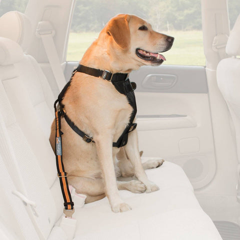 Image of Dog Safety Belt Ferplast adjustable available at allaboutpets.pk in pakistan.