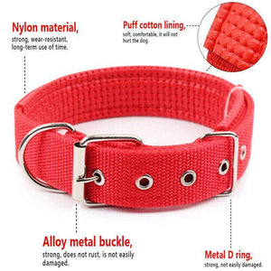 Nylon Soft Liner Padded Dog Collar red color available at allaboutpets.pk in pakistan.