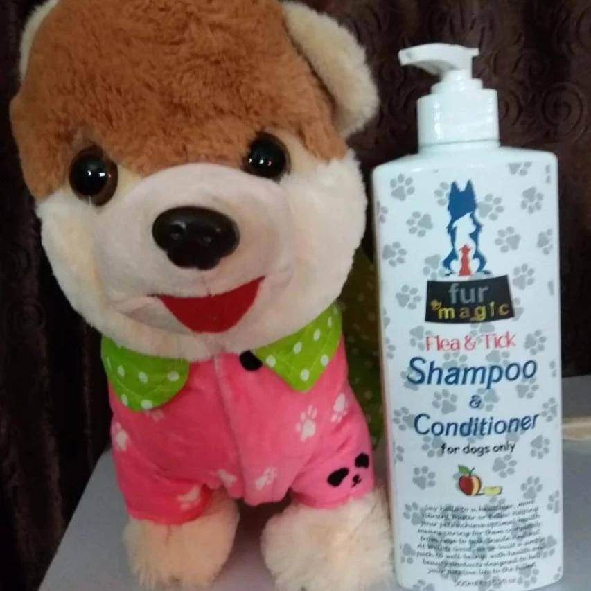 Best Flea and Tick Control Products in Pakistan for Dogs and Cats