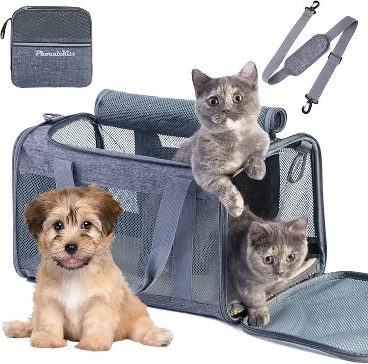 How to Choose a Pet Carrier in Pakistan Safe Travel Tips &amp; Top Options