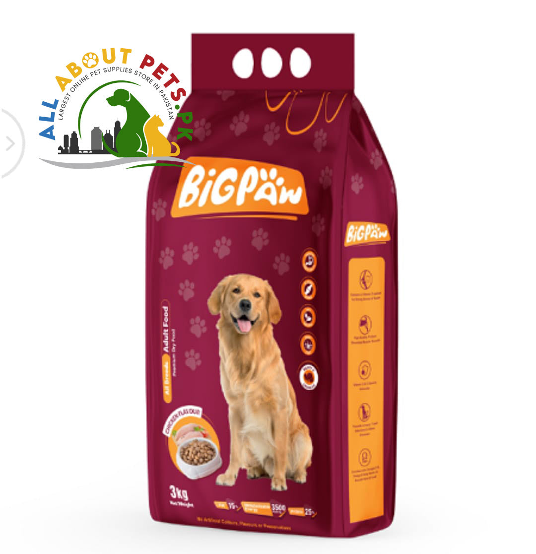 Big PAW Adult Dog Food 3kg – nutritious and healthy adult dog food in Pakistan for energy, muscle strength, and a shiny coat