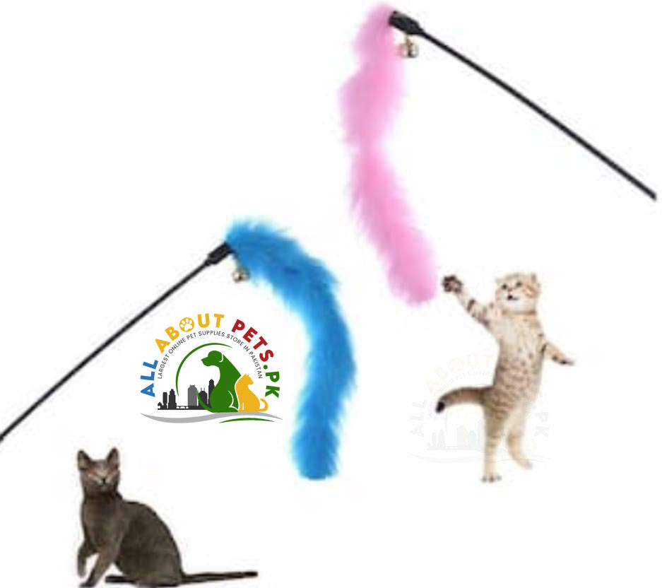 Cat Playing Stick Feather – interactive feather toy for cats in Pakistan for fun, exercise, and bonding playtime
