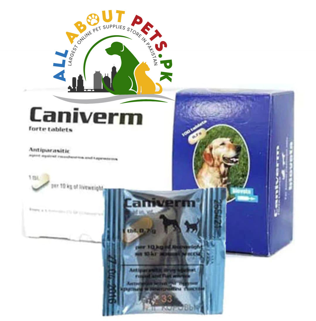Caniverm Deworming Tablets – effective deworming medicine for dogs and cats in Pakistan for safe parasite protection