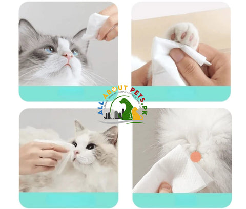 Image of Cat Dog Cleaning Wipes (100 Pieces) - Convenient and Effective Pet Cleaning Solution