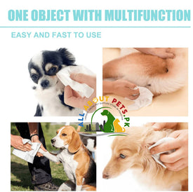 Cat Dog Cleaning Wipes – safe and gentle grooming wipes for cats and dogs in Pakistan for dirt and odor removal