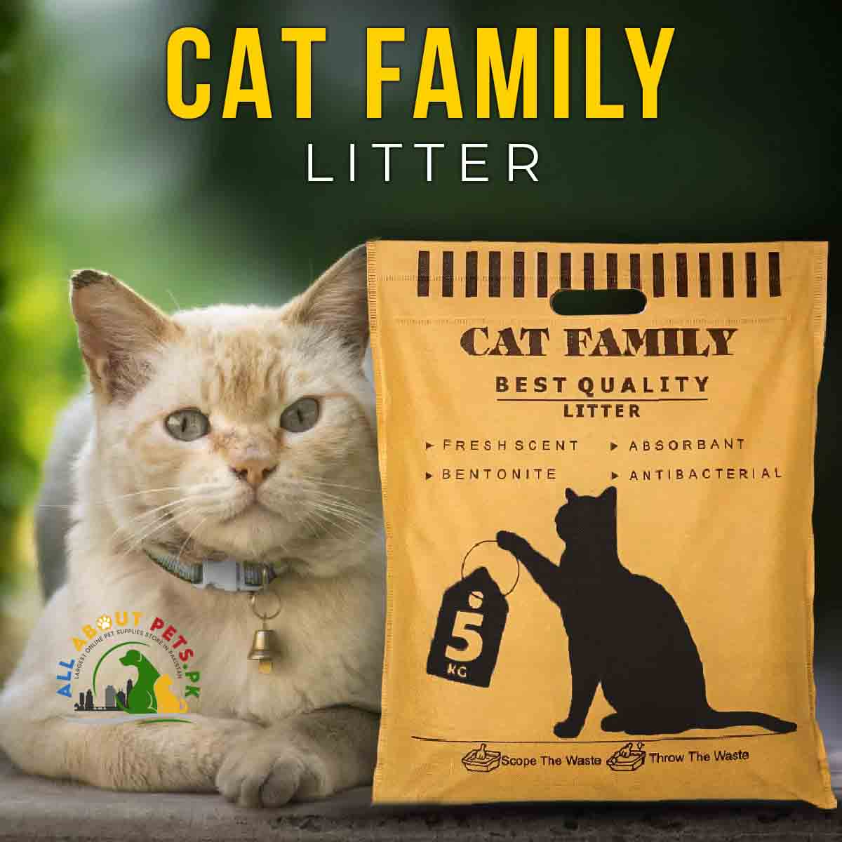 Cat Family Litter Best Quality 5kg – bentonite odor-eliminating cat litter for hygiene and freshness