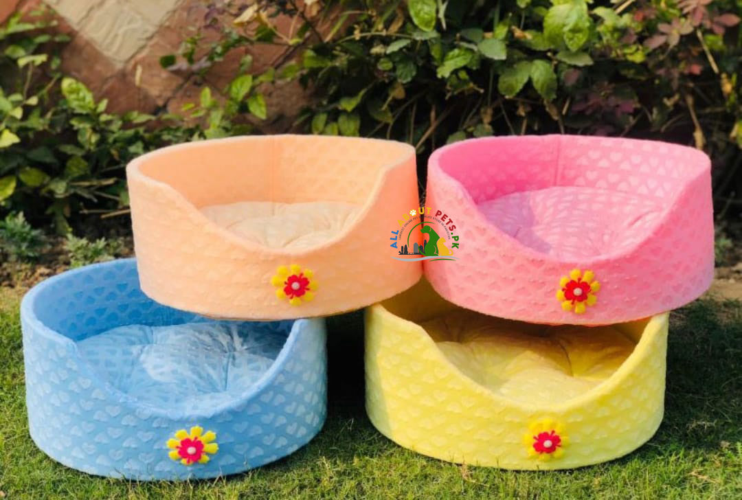 Cozy and Comfortable Pet Beds – soft and durable cat and dog beds in Pakistan for restful sleep and stress relief