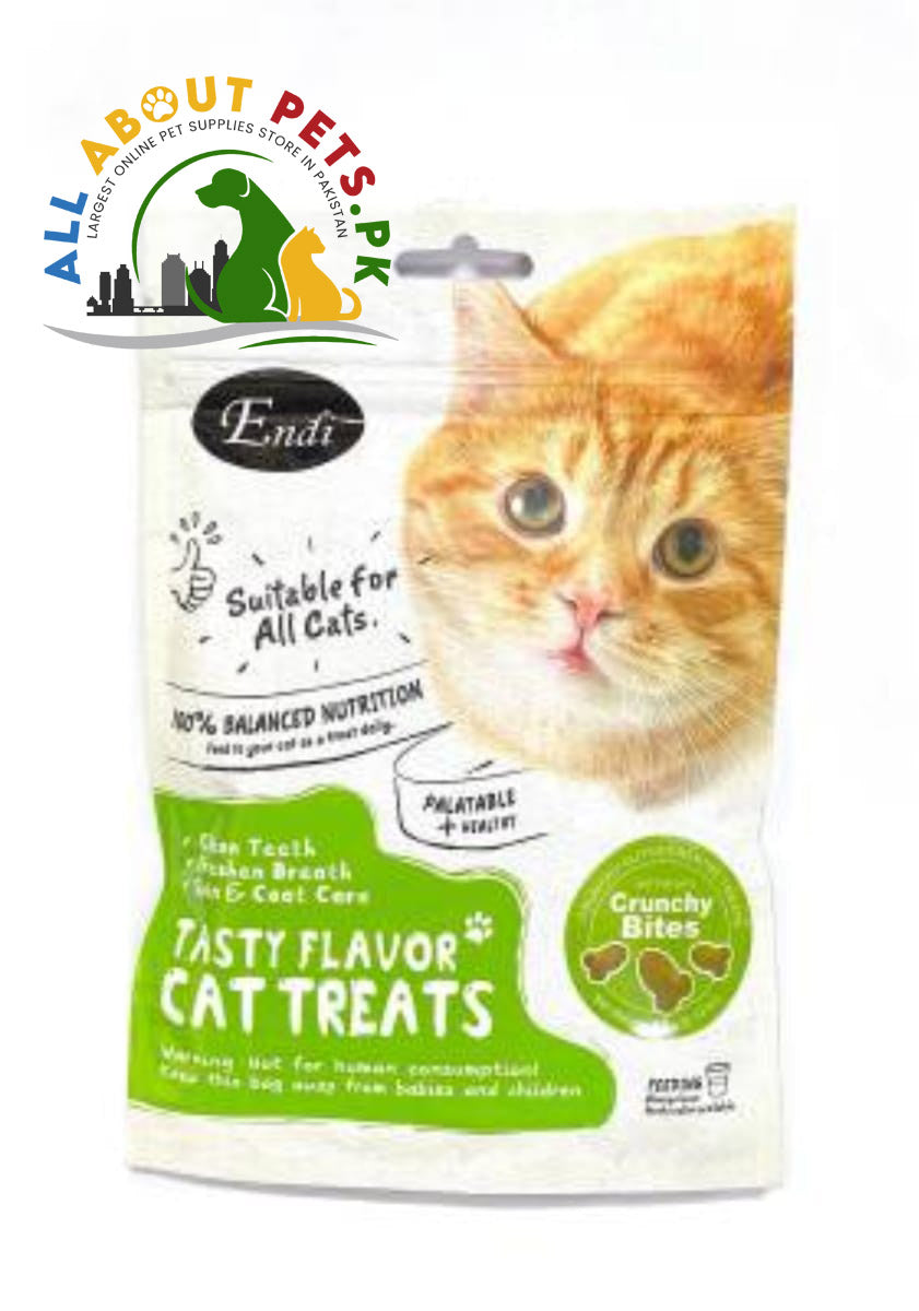 ENDI Fish Flavored Cat Treats – tasty round shape 60g cat snacks in Pakistan for healthy, crunchy, and rewarding snacking