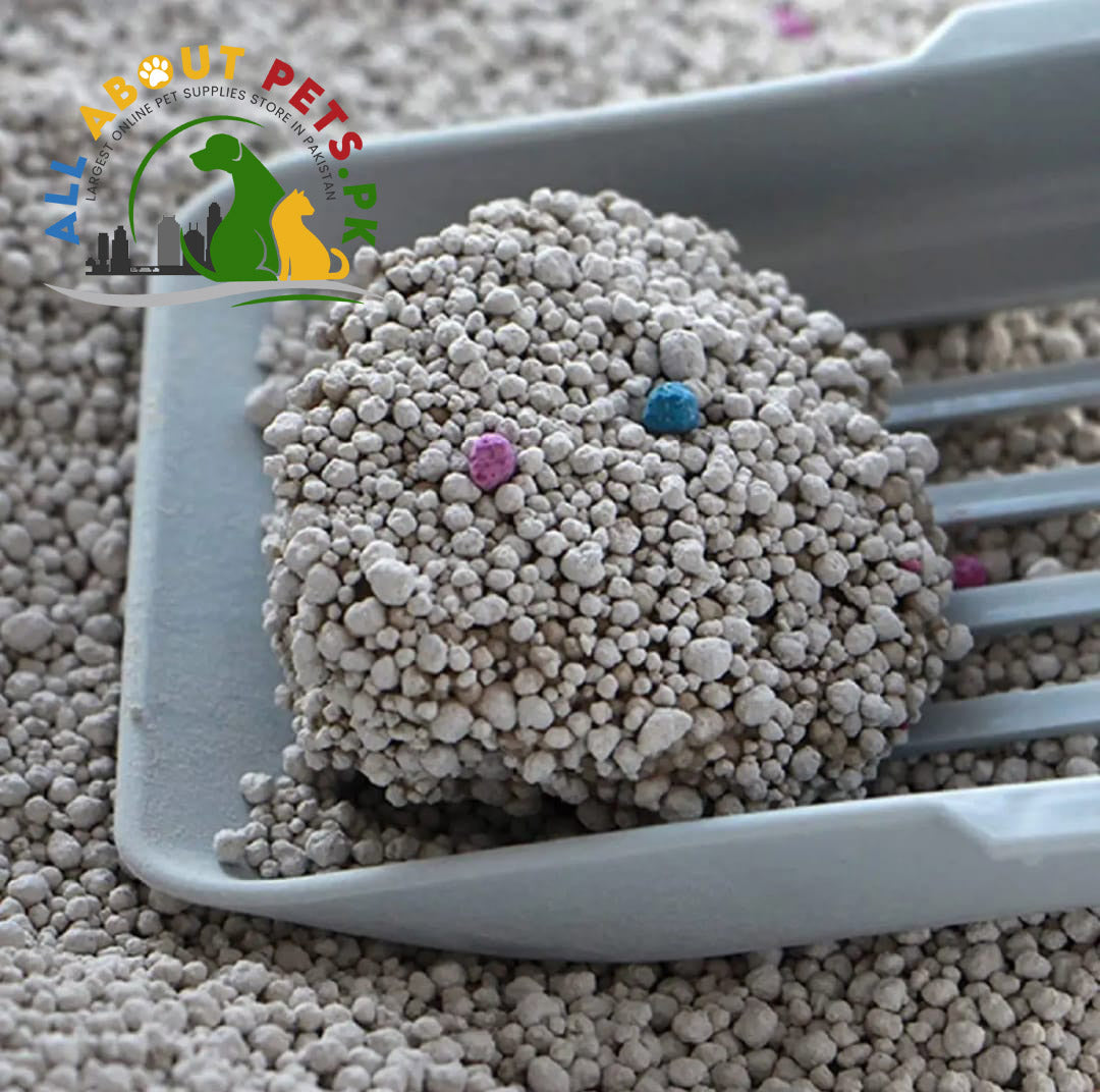 Emly Pet Litter – clumping and odor control cat litter in Pakistan for a clean, dust-free, and hygienic environment