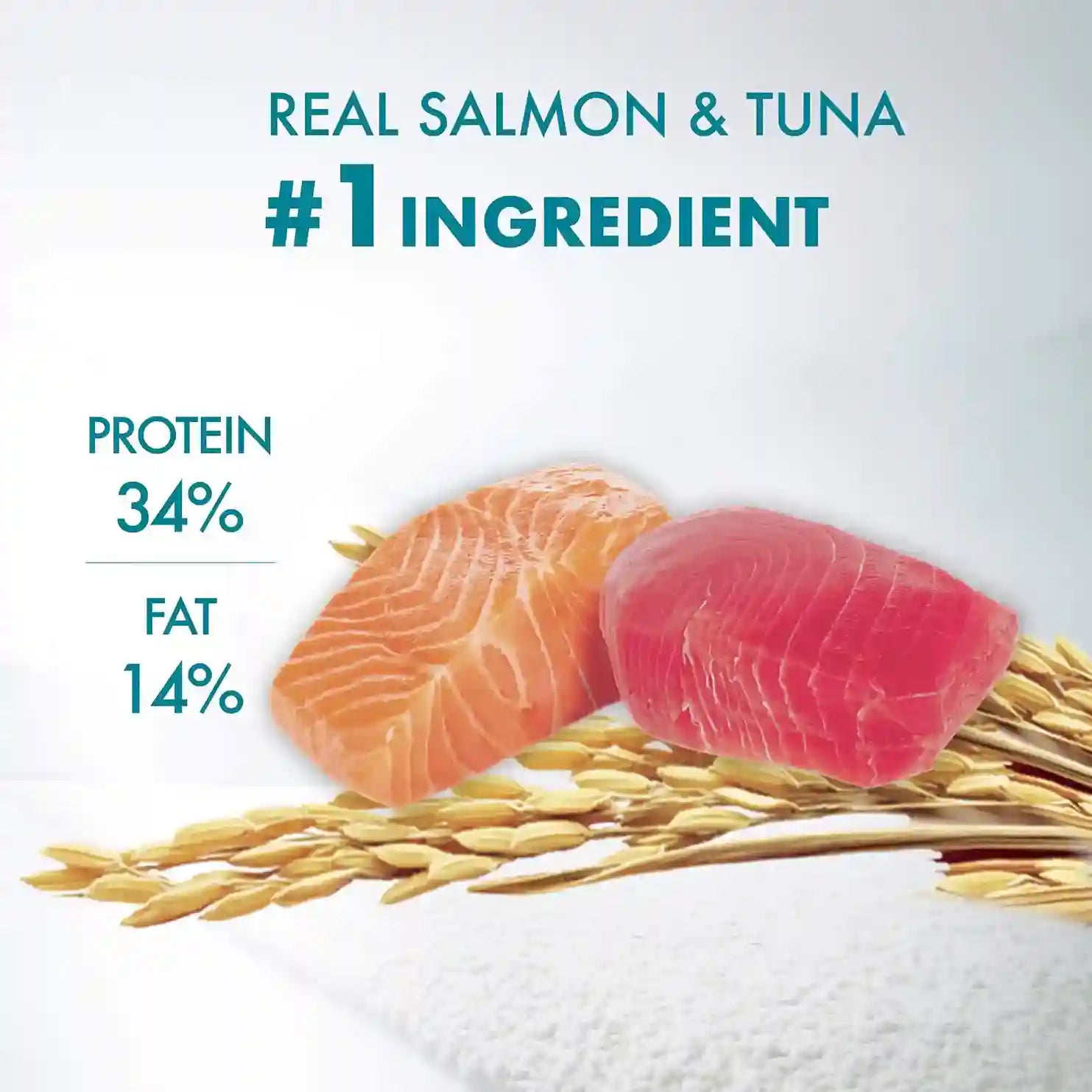Purina ONE Healthy Adult Immune Defence Plus+ – Salmon & Tuna | High Protein Cat Food