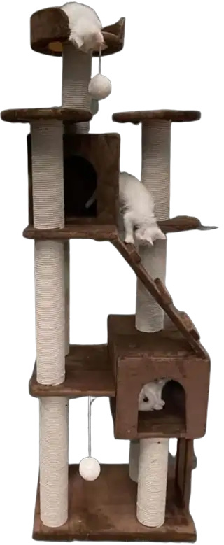 SCRATCH POST CAT TREE 2.0