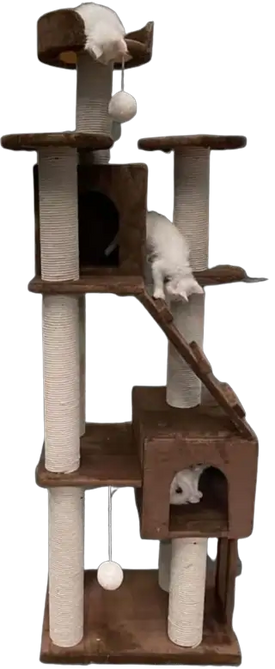SCRATCH POST CAT TREE 2.0