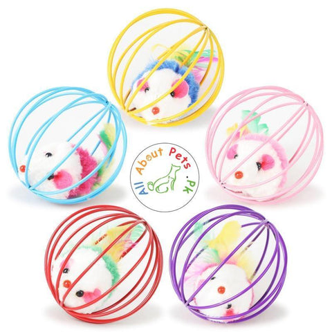 Image of Cat Toy Wire Ball Cage Fur Mouse multi color available at allaboutpets.pk in Pakistan