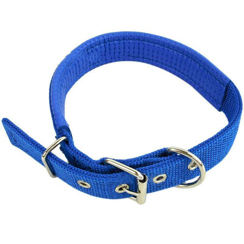 Image of Nylon Soft Liner Padded Dog Collar blue color available at allaboutpets.pk in pakistan.