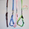 Assorted Collar & Leash Set For Small Dogs and Cats
