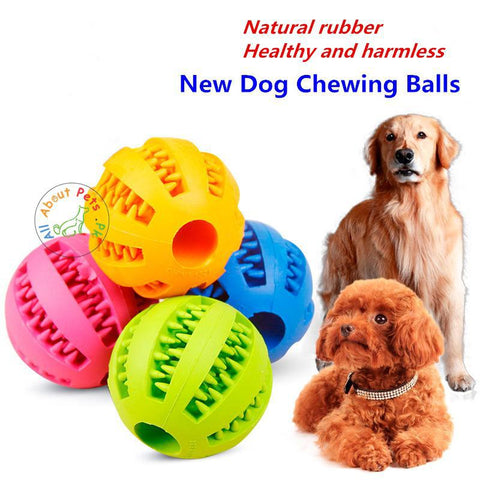 Image of Dog Treat Ball Orange, green, pink, blue Color Fun Interactive Dog Food Dispenser Toy Ball available at allaboutpets.pk in Pakistan