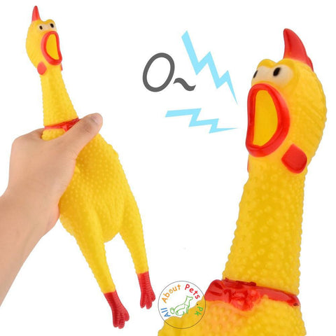 Image of novelty Shrilling Chicken Toy For Dogs available at allaboutpets.pk in Pakistan