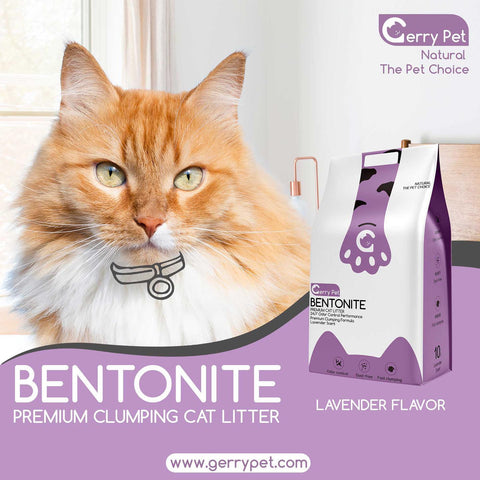 Image of Gerry Pet Bentonite Cat litter lavender scent available online at allaboutpets.pk in Pakistan