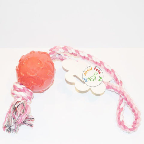 Image of Puppy Teether Rope Toy With red Plastic Ball bone print available at allaboutpets.pk in Pakistan