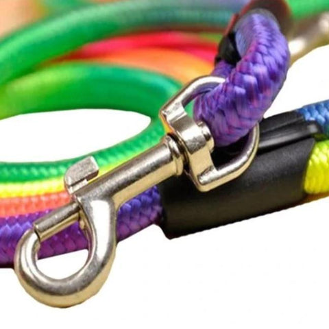 Image of Rainbow nylon Dog Leash, 14mm thickness and 44 inches long available at allaboutpets.pk in pakistan