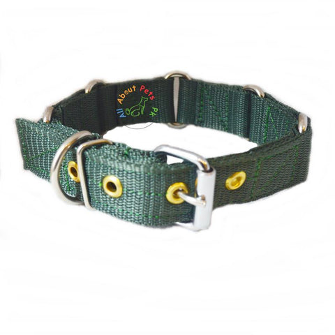 Image of Heavy Duty Nylon Dog Collars army green color available at allaboutpets.pk in Pakistan
