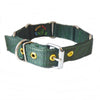 Heavy Duty Nylon Dog Collars army green color available at allaboutpets.pk in Pakistan