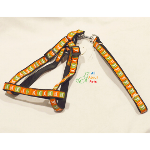 Image of Assorted Multi Colored Harness & Lead for dogs
