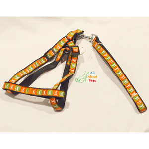 Assorted Multi Colored Harness & Lead for dogs