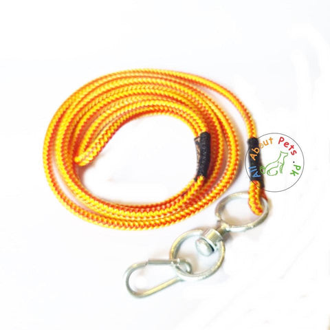 Dog nylon Rope leash 5mm With Hook 58" orange and black color available at allaboutpets.pk in Pakistan