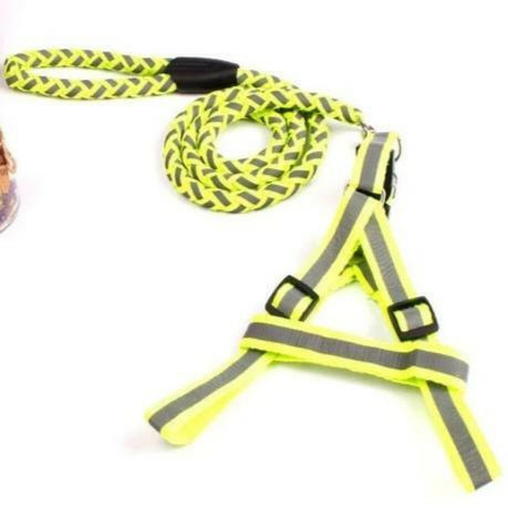 Reflective Harness & Lead For Dogs florescent green color available at allaboutpets.pk in pakistan.