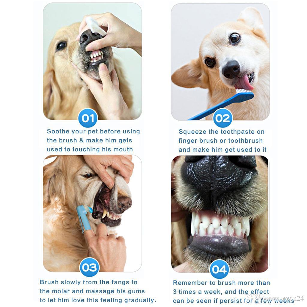 Pet Tooth Brush long and finger brush available at allaboutpets.pk in Pakistan