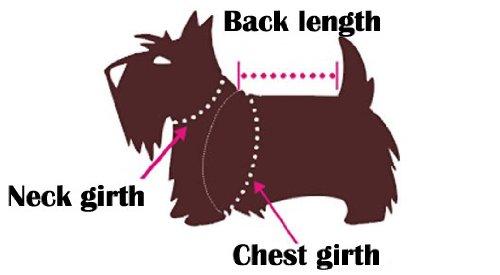 Dog Life Jacket measurement  at allaboutpets.pk in pakistan