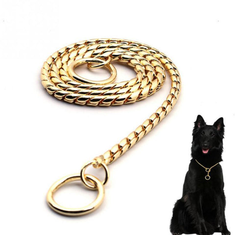Image of Golden Choke Chain For Dogs snake style available at allaboutpets.pk in Pakistan