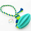 Chewing Rugby Ball Dog Toy  With Cotton Rope available at allaboutpets.pk in Pakistan