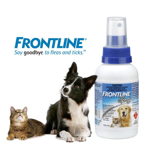 Image of Frontline tick and flea spray for cats and dogs available online in pakistan at allaboutpets.pk