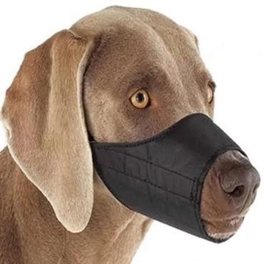 Image of Nylon Dog Muzzle - AllAboutPetsPk