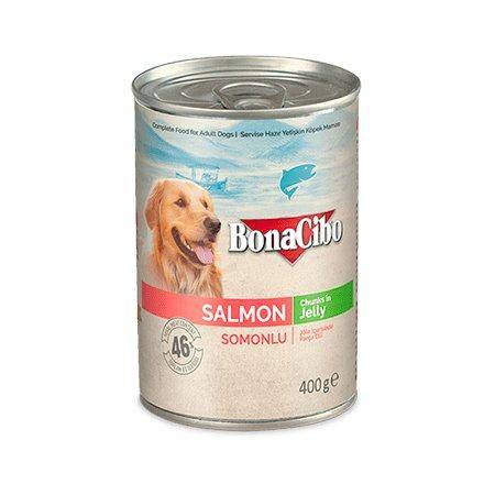 Image of Bonacibo Canned Dog Food Salmon 400g available at allaboutpets.pk