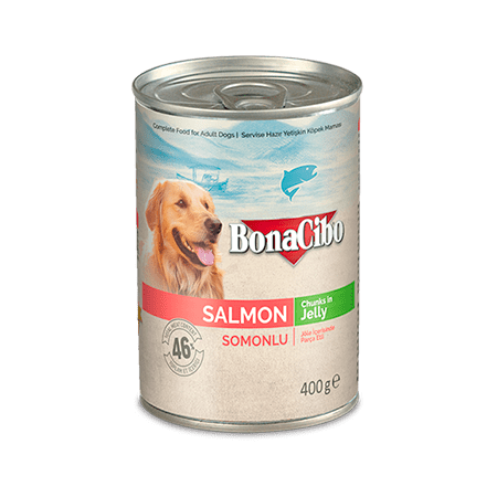 Bonacibo Canned Dog Food Salmon 400g