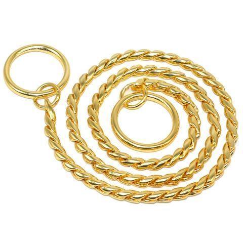 Image of Golden Choke Chain For Dogs available at allaboutpets.pk in Pakistan
