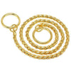 Golden Choke Chain For Dogs available at allaboutpets.pk in Pakistan