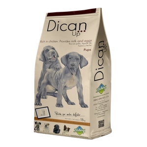 Dibaq Dican Up Puppy