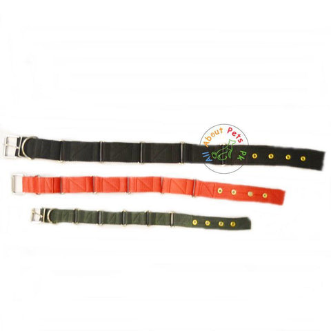 Image of Heavy Duty Nylon Dog Collars red, black & army green colors available at allaboutpets.pk in Pakistan