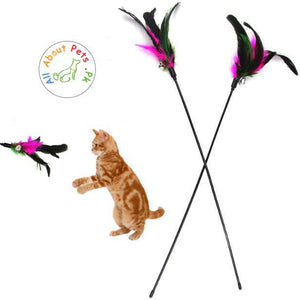 Long Feather Cat Play Rod Teaser Toy 50cm available at allaboutpets.pk in Pakistan