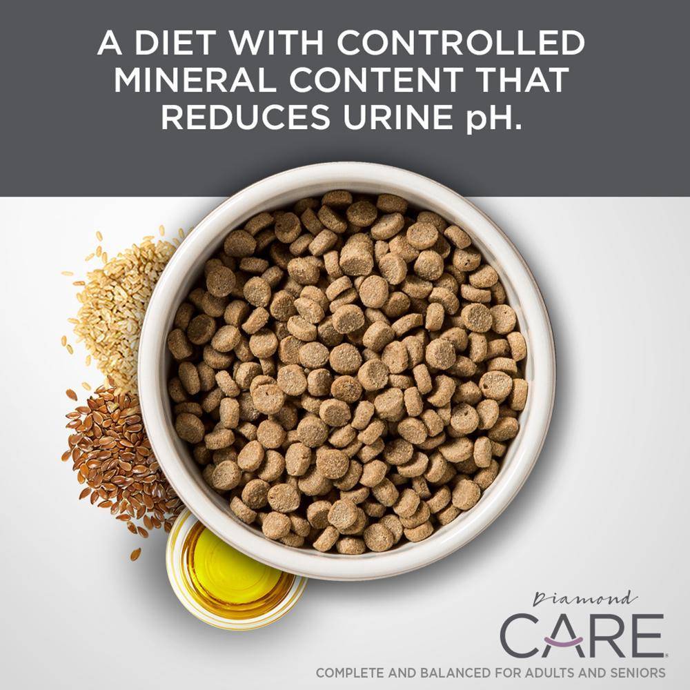 Nutra Gold DIAMOND Care Urinary Support Formula For Adult Cats